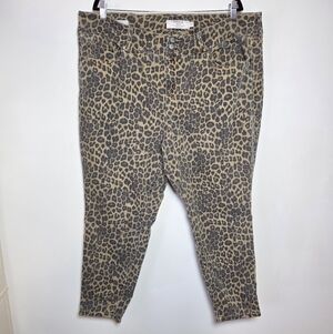 Torrid Leopard Print Jeggings | High Rise Skinny Jeans | Size 24R